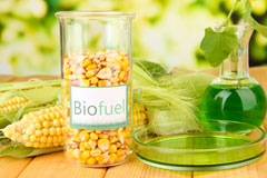 Glan Yr Afon biofuel availability